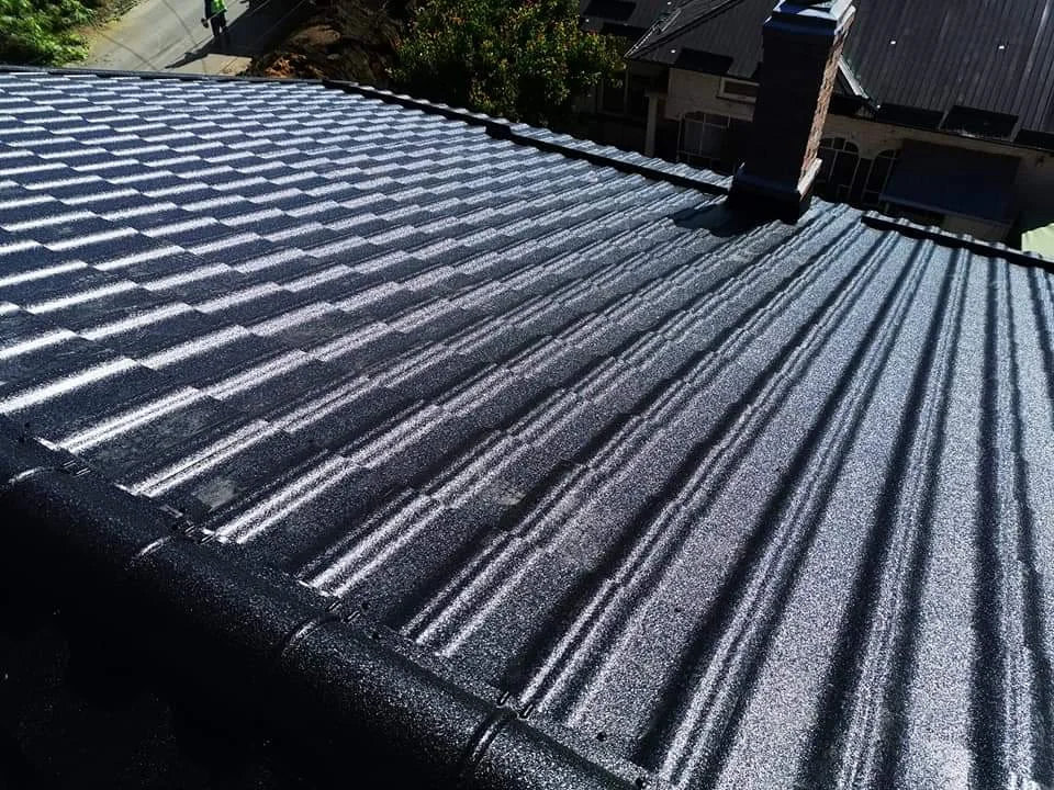 Acoperiș țiglă metalică neagră